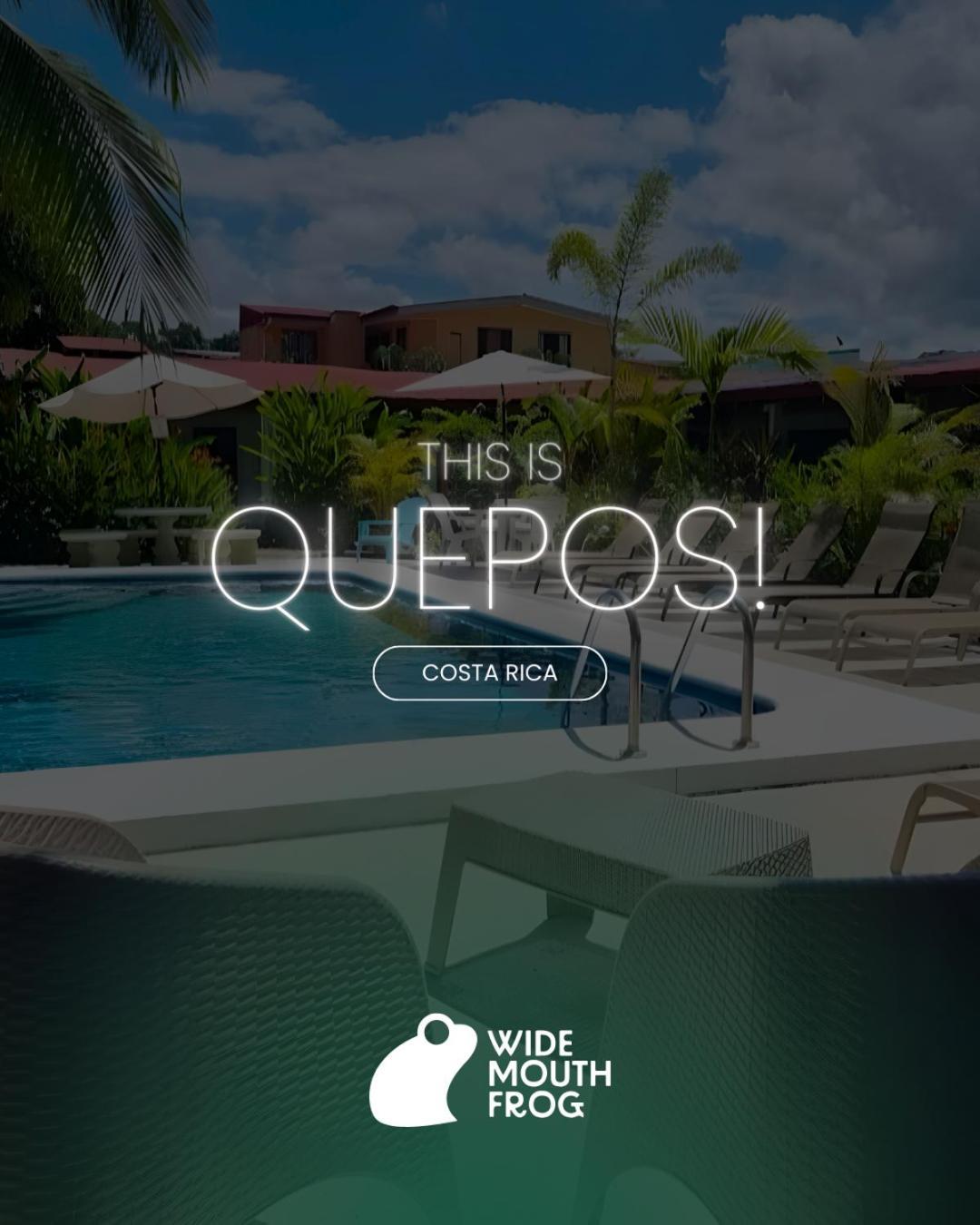 Wide Mouth Frog Quepos Hostel Manuel Antonio Bagian luar foto