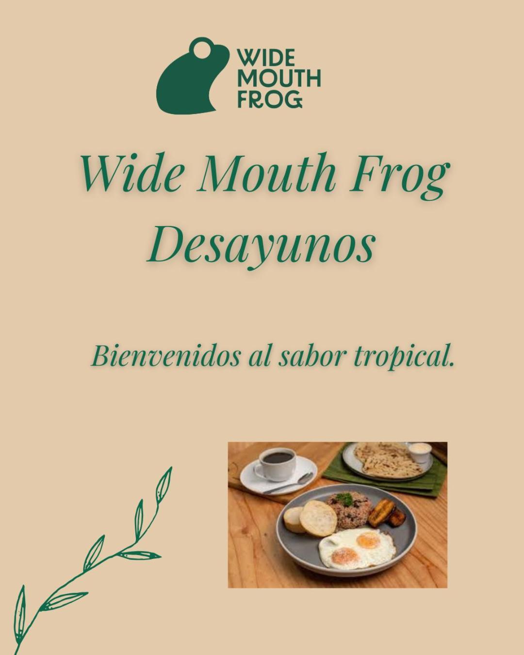 Wide Mouth Frog Quepos Hostel Manuel Antonio Bagian luar foto