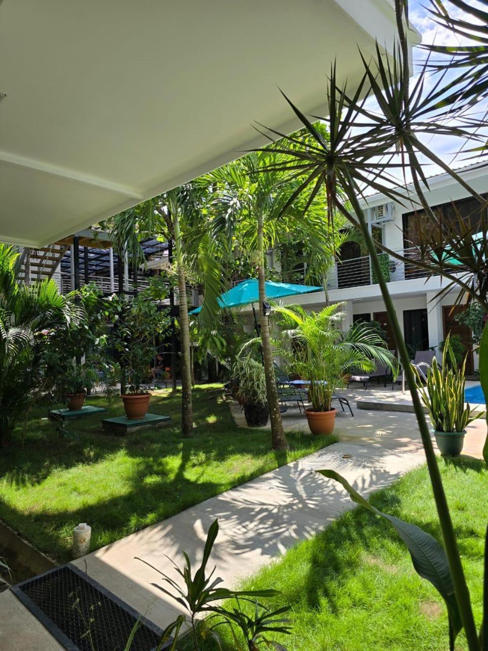 Wide Mouth Frog Quepos Hostel Manuel Antonio Bagian luar foto