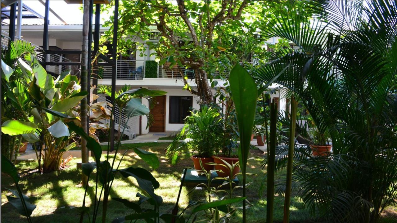 Wide Mouth Frog Quepos Hostel Manuel Antonio Bagian luar foto