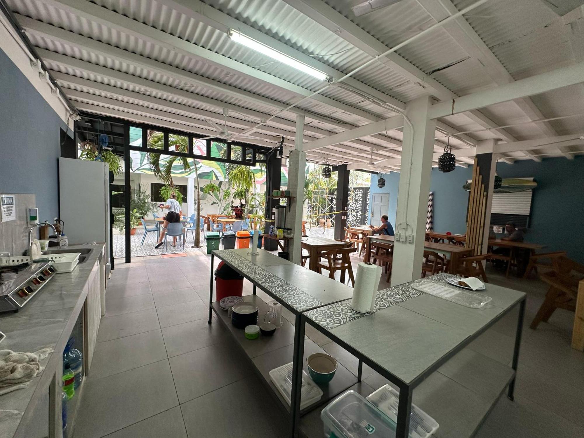 Wide Mouth Frog Quepos Hostel Manuel Antonio Bagian luar foto