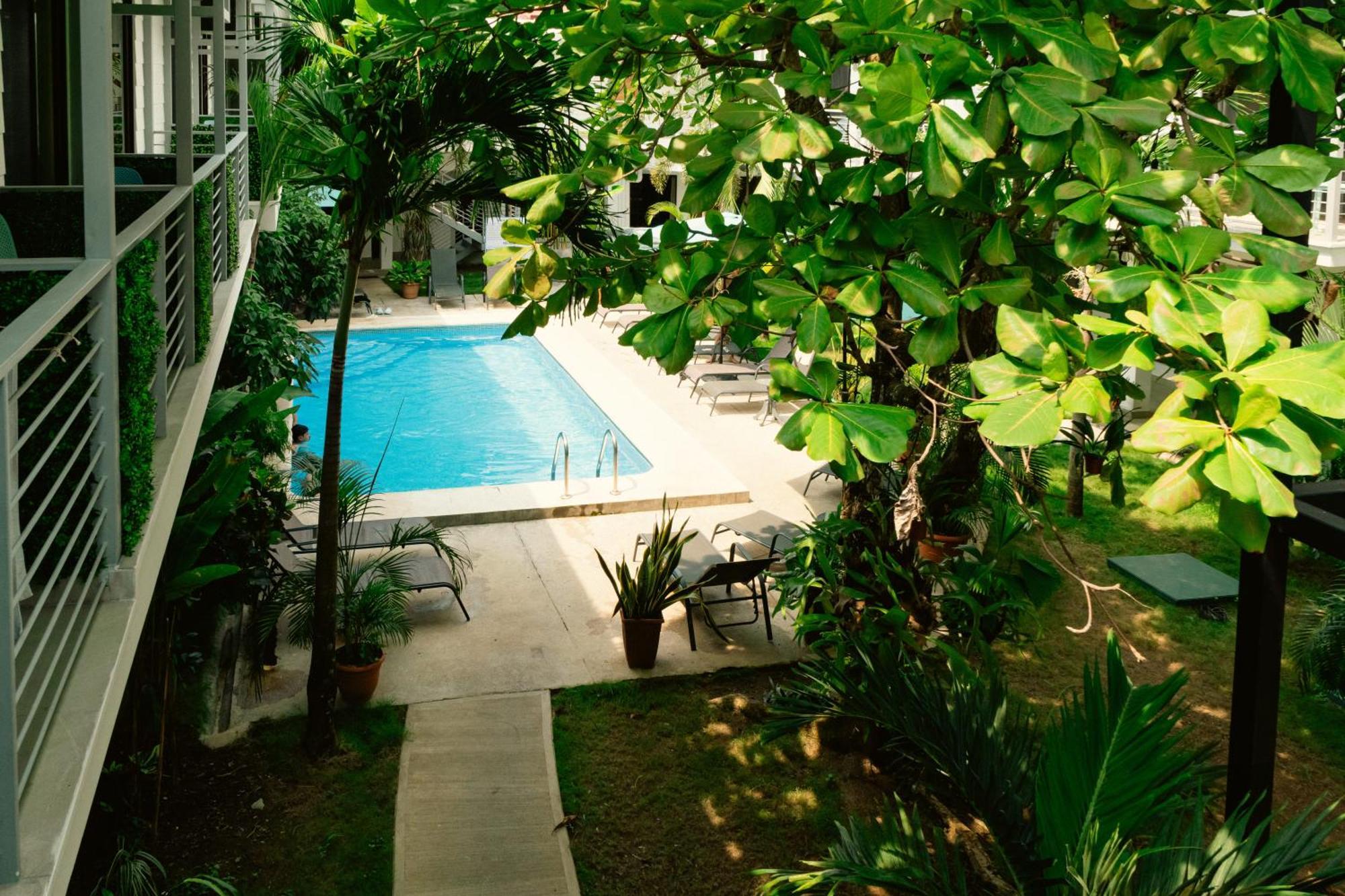 Wide Mouth Frog Quepos Hostel Manuel Antonio Bagian luar foto