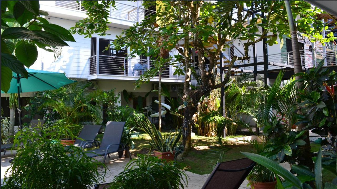Wide Mouth Frog Quepos Hostel Manuel Antonio Bagian luar foto